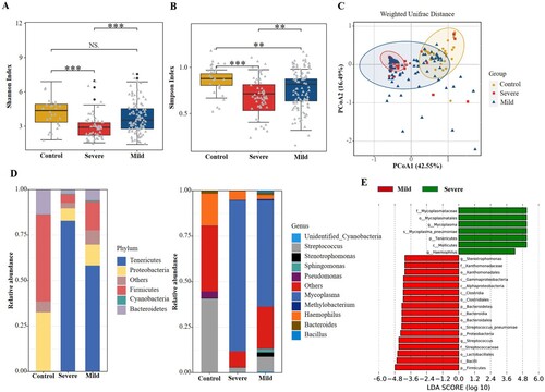 Figure 3. Comparisons of respiratory microbiota in Control, severe MPP, and mild MPP groups. (A) Alpha diversity was evaluated by the Shannon index. (B) Alpha diversity was evaluated by the Simpson index. (C) Principal coordinate analysis based on the Weighted Unifrac matrix. (D) Relative abundance of respiratory microbiota at the phylum and genus level. (E) The species with significant differences in abundance between the mild and severe MPP groups by using LEfSe analysis. MPP, Mycoplasma pneumoniae pneumonia patient; Control, other bacterial or viral pneumonia. ***P < 0.001.