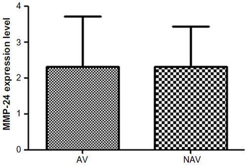 Figure 1 MMP-24 expression in atherosclerotic vessels versus nonatherosclerotic vessels.