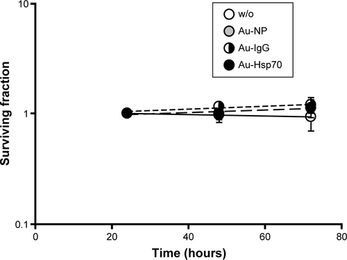 Figure S3 Cell viability assay.Notes: Cells were seeded in 12-well chamber slides, incubated for 24 hours, 48 hours, or 72 hours with gold nanoparticles (Au-NP, Au-IgG, Au-Hsp70) or left untreated (w/o). Adherent cell colonies were counted 24 hours, 48 hours, and 72 hours after incubation with the gold nanoparticles and then stained with crystal violet. Colonies were counted automatically, and colony counts after 24 hours were set to 1. Shown are mean values of three independent experiments obtained with CT26 cells. For each plate, at least 30 colonies were counted in triplicates.Abbreviation: w/o, without.