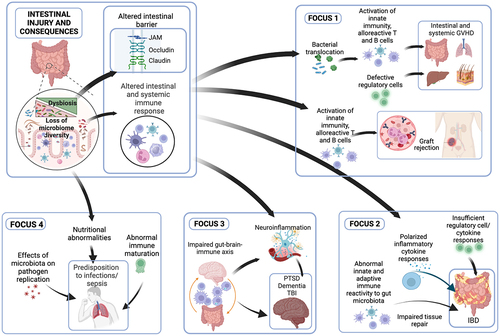 Figure 3. Focus areas of deployment-related diseases and their synergy in mechanistic studies for mechanisms and innovative treatments.