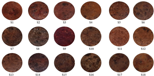 Figure 6. Visible appearance of cooked PBM patties incorporated with natural pigments.