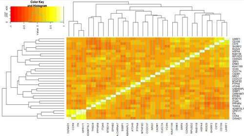 Figure 3. Spearman’s rank correlation, co-expression, matrix between the selected genes in the COPD patients: heatmap for hierarchical clustering the 33 candidate genes based on their pattern of gene expression.