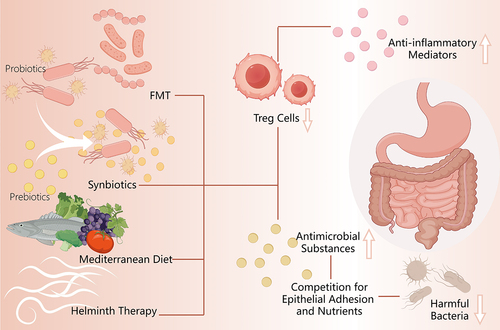Figure 3. Summary of relevant therapies of chronic urticaria targeted at gut microbiome.