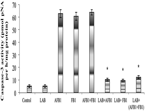 Figure 2. Caspase-3 activity in splenocytes from mice after treatment. Mice treated as indicated in the legend for Figure 1. Cells were harvested from spleens isolated after hosts were fasted for 12 h (i.e. on day after the final treatment in each group). Data shown are mean ± SD. In each histogram, bars with (*) differ significantly to other treatments (p < 0.05).