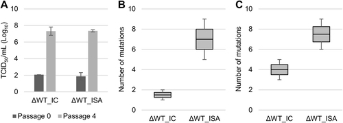 Fig. 3 Impact of the ISA method on evolution of a low replicative fitness virus (ΔWT virus).Evolution of cell supernatant infectious virus titers (TCID50 assay) during passage in Vero ATCC cells (a). b, c represent the number of mutations detected at the first and fourth passage, respectively. In a, the average number of TCID50/ml is shown, and error bars represent the standard deviation. In b, c, the bottom and top of the box represent the first and third quartiles, the band inside the box represents the median value, and the error bars represent the minimum and maximum values