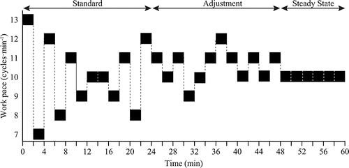 FIGURE 2 An example illustrating the standard, adjustment, and steady state phases of the 60-minute pick-and-place task protocol.
