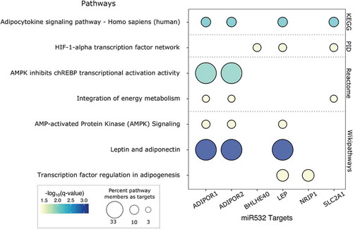 Figure 4. Pathway analysis of miR-532 putative targets. Select consensus path DB results are presented in a bubble plot. Dot colour represents -log10(FDR). Dot size indicates the percentage of pathway members that are represented by miR-532 targets. Pathway sources are indicated on the right y-axis