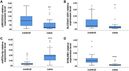 Figure 6 The expression of LINCO2532 (A), SLCO4A1-AS1 (B), miR23a-5p (C), and DYNLRB1 (D) in PE patients and healthy controls. Statistical significance of expression level with *for p < 0.05, **for p < 0.01 and ***for p < 0.001.