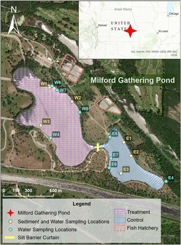 Figure 1. Map showing treatment and control zones, sampling sites, and silt curtain within Milford Gathering Pond. Further detailed explanation of sampling sites is included in the supplement.