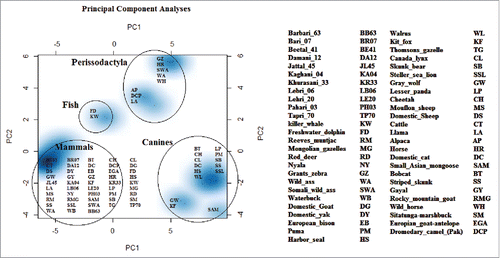 FIGURE 5. Principal component analyses resolve the genetic distance matrix of selected species into PC1, PC2, and PC3 and so on. Out of these, PC1 and PC2 represents large proportion of variation in the dataset and are plotted. PCA results enhanced consistency in our data set as all 3 groups make their spots according to their phylogenetic links. Here PC1 is quoting largest variation in the dataset as compared to PC2. So neighborhood has been revealed between cattle and goat. In that study central nervous system specific human enhancers exhibit 3 distinctive and internally compact clusters exposing the interactive pattern of TFBSs. The control data set of human non-conserved and non-coding elements do not present any vivid cluster structure for the 14 TFBSs that formed internally closely packed clusters in CNS specific enhancers, thus elucidating the significance of clusters in panel A. TFBSs are color coded.