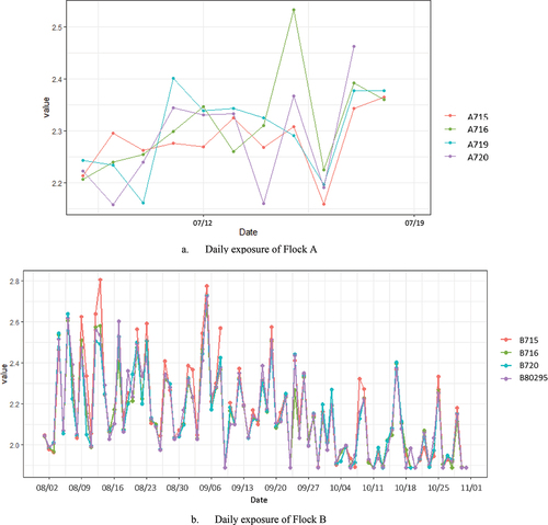 Figure 6. Daily exposure of flock A and flock B.