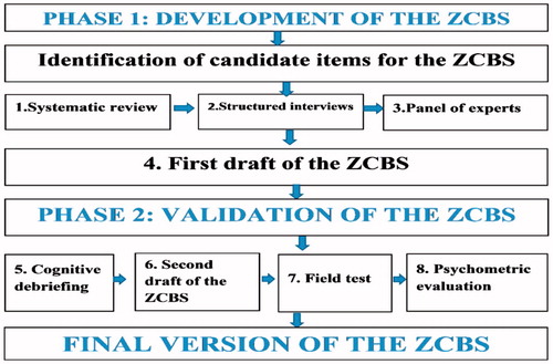 Figure 1. Schematic presentation of the development of the ZCBS.