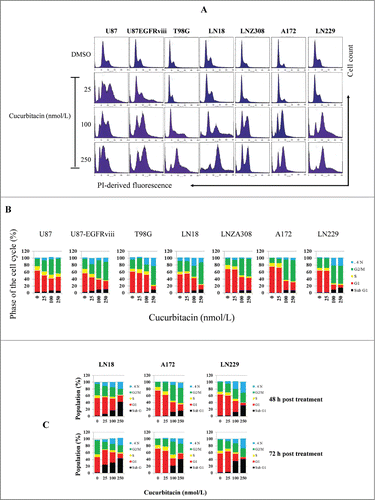 Figure 3. Cucurbitacin induces G2/M arrest regardless of EGFR/PTEN/p53 status in malignant human glioma cell lines. U87, U87-EGFRviii, T98G, LN18, LNZ308, A172 and LN229 cells were seeded at 60% confluence, allowed to attach overnight, and treated with cucurbitacin (indicated concentration) for 24 h. Control cells received DMSO (0). Cell cycle analysis using propidium iodide (PI) staining was performed as described in the Materials and Methods Section. Representative results of 3 independent experiments are presented here (A). Histogram represents the average of 3 experiments (B). LN18, A172 and LN229 cells were seeded at 60% confluence, allowed to attach overnight, and treated with cucurbitacin (indicated concentration) for 48 or 72 h. Control cells received DMSO (0). Cell cycle analysis was performed as described in the Materials and Methods Section (C).