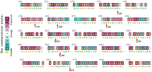 Figure 2. Conservation profile analysis of most deleterious nsSNPs. Figure showing the amino acid conservation profile of human TLR9 protein. Highly conserved residues are directly proportional to the density of dark red color (score varies between 6 and 9), whereas the density of blue color (score varies between 6 and 9) shows variability in respective amino acids. Identified, eight most deleterious nsSNPs sites are highlighted by red arrows.