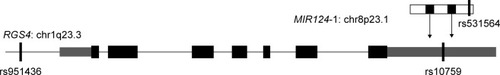 Figure 1 SNPs in MIR124-1 and its target RGS4 gene. Three polymorphisms: rs531564 (a functional SNP in MIR124-1), rs10759 (a microRNA-binding site SNP in RGS4), and rs951436 (a promoter SNP in RGS4).