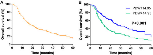 Figure 2 Kaplan–Meier overall survival curves of patients with GBC. (A) Overall survival of 303 patients with GBC. (B) comparing survival outcomes between the PDW≤14.95 group and PDW>14.95 group.