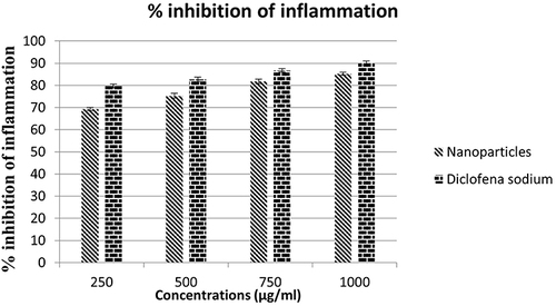 Figure 11 % denaturation of protein inhibition of silver nanoparticles T. vulgaris. Values are mean ±S.D; data represented in triplicate.