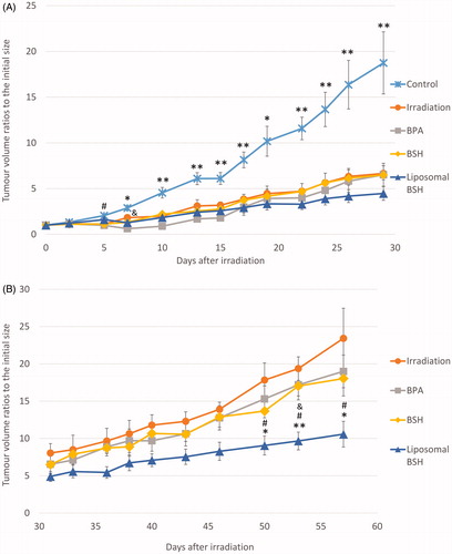 Figure 3. Dynamics of subcutaneous U87 tumor volume ratios to the initial size in animals from different groups during the first 29 days (A) and during 31–57 days (B) after irradiation. Data are presented as means ± SEs. The difference in tumor volume ratios between the control group and irradiation only, BPA, and BSH groups, #p < .05; between the irradiation only and the BPA groups, &p < .05; and differences between the control group and all irradiated groups from the 7th day after BNCT, *p < .05, **p < .01 (A). Differences in tumor volume ratios between the irradiation only and the liposomal BSH groups, *p < .05, **p < .01; between the liposomal and non-liposomal BSH groups, #p < .05; and the difference between the BPA and the liposomal BSH groups, &p = .021 (B). p-values by RMANOVA.