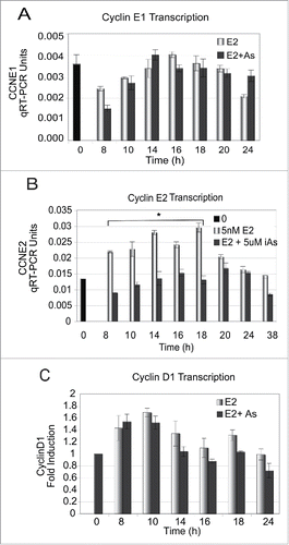 Figure 2. Gene expression of CCNE1 and CyclinD1 does not change but CCNE2 decreases in response to iAs across the cell cycle. (A-C) Quiescent cells were treated with 5nM E2 or 5 nM E2 + 5 µM iAs for indicated times and expression of mRNAs was evaluated by qRT-PCR with the appropriate primer set. All data shown is from the same representative experiment done in triplicate using primer sets to CCNE1, CCNE2 or CyclinD1 and the experiment was repeated 4 times with all primers shown. (n = 3; Error bars = SEM; *p-Value < 0.001 for CCNE2 at 8–18 h).