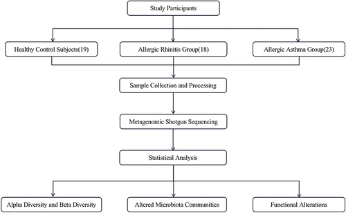 Figure 1 The flow of this study.