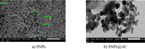 Figure 1. TEM micrographs of a) SNPs (control sample), b) SNPs@AC and c) particle size distribution of SNPs and SNPs@AC.