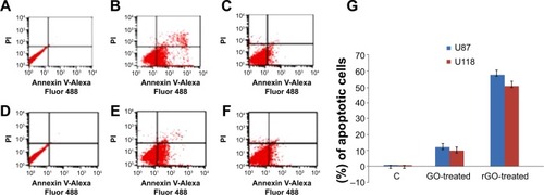 Figure 4 Annexin V-Alexa Fluor® 488 and PI assay analysis. Scatter diagrams of cells exposed to 100 μL/mL of GO and rGO.Notes: (A) U87 control, (B) rGO-treated U87, (C) GO-treated U87, (D) U118 control, (E) rGO-treated U118, (F) GO-treated U118, and (G) rate of apoptosis in U87 and in U118 cells treated with 100 μL/mL of graphene oxide (GO) and reduced graphene oxide (rGO).Abbreviation: C, control group (untreated cells).