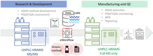 Figure 2. Schematic overview of advanced MAM method transfer, from research and development to manufacturing and QC using an eWorkflow procedure that contains all the associated methods and the reporting template required to set up the injection sequence, acquire, process the data, and summarize the results in a report with a visual pass/fail representation. Data lake allows for software integration, instrument management, data storage, seamless data and workflow transfer, accelerated data processing and advanced reporting.