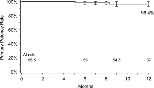 Figure 3. Kaplan-Meier estimate of primary patency at 12 months in the MAJESTIC trial. Adapted from Müller-Hülsbeck S, Keirse K, Zeller T, et al. Twelve Month Results from the MAJESTIC Trial of the EluviaTM Paclitaxel-Eluting Stent for Treatment of Obstructive Femoropopliteal Disease. J Endovasc Ther 2016, doi: 10.1177/1526602816650206.