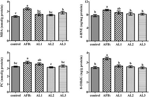 Figure 6. Effects of lycopene on hepatic oxidative damage products concentrations in AFB1-exposed broiler chickens. Data are represented as mean ± SEM. Different letters above bars are significantly different (P < .05). AFB1, aflatoxin B1; Control, basal diet; AFB1, basal diet with 100 μg/kg AFB1; AL1, basal diet with 100 μg/kg AFB1 and 100 mg/kg lycopene; AL2, basal diet with 100 μg/kg AFB1 and 200 mg/kg lycopene; AL3, basal diet with 100 μg/kg AFB1 and 400 mg/kg lycopene. MDA, malondialdehyde; 4-HNE, 4-hydroxynonenal; PC, protein carbonyl; 8-OHdG, 8-hydroxydeoxyguanosine.