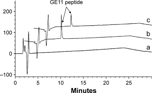Figure S3 HPLC assessment of GE11 peptide conjugated to the distal end of HA-ss-Chol by monitoring absorbance at 220 nm.Notes: (a) HA-ss-Chol conjugate, (b) GE11 peptide before reaction, (c) GE11 peptide after reaction.Abbreviations: HA-ss-Chol, reduction-responsive hyaluronic acid derivatives grafted with hydrophobic cholesteryl moiety; HPLC, high-performance liquid chromatography.