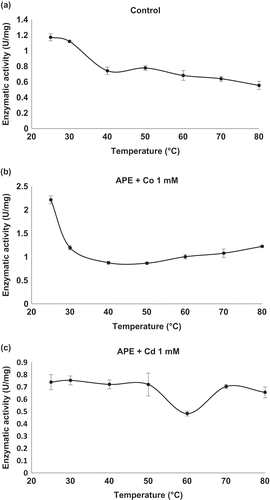 Figure 4. Effect of temperature on enzymatic activity of aminopeptidase (APE) in the enzymatic extract. (a) Control: APE activity without cations. (b) APE activity in the presence of CoCl2 at a concentration of 1 mM. (c) APE activity in the presence of CdCl2 at a concentration of 1.0 mM. Mean values are connected by a line, bars represent standard deviations (n = 3).Figura 4. Efecto de la temperatura sobre la actividad enzimática de aminopeptidasa (APE) en el extracto enzimático. (a) Control: Actividad APE en ausencia de cationes; (b) Actividad APE activity en presencia de CoCl2 a 1 mM y (c) Actividad APE en presencia de CdCl2 a 1.0 mM. Los valores de las medias están unidos por una línea, las barras representan la desviación standard (n = 3).