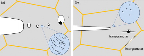 Figure 3. Principal failure types in coarse-grained metals. (a) Micro-ductile fracture through the coalescence of individual voids. (b) De-cohesion process leading to inter- or transgranular fracture. In both cases plasticity, illustrated by the dislocation bundles, is involved.