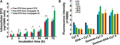 Figure 4. Cellular uptake of dextran-based conjugates. (A) Free DTX and total DTX content in MCF-7 cells after incubation with parent DTX and the conjugate dextran–DHA–DTX 18, respectively. (B) Fluorescent intensity of Cy7.5 dye and its conjugates in MCF-7 cells. MCF-7 cells were incubated with 5 µg/mL Cy7.5 and its conjugates (equivalent to Cy7.5) for indicated time points, respectively. Data were presented as mean ± SD (n = 3). *p < .05, **p < .01.