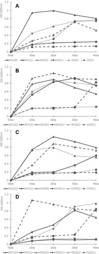 Figure 1 Inhibition of H. pylori growth at a disulfiram concentration of 1 µg/mL. (A) Drug-sensitive strain, (B) amoxicillin-resistant strain, (C) clarithromycin-resistant strain, and (D) metronidazole-resistant strain. The vertical axis represents the absorbance at OD600 nm, and the horizontal axis represents the number of days of the culture. Numbers in parentheses indicate the disulfiram concentration (µg/mL).