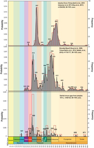 Figure 8. Probability density distribution diagrams and histograms of the U-Pb ages of the detrital and magmatic zircons, which obtained from the İstanbul Palaeozoic sequence, the Strandja Massif and this study.