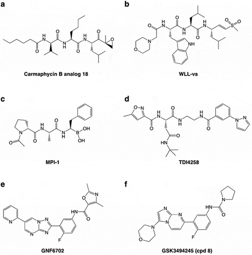 Figure 2. Some examples of proteasome inhibitors. The epoxyketone, Carmaphycin B analogue 18 (a) and the vinyl sulfone, WLL-vs (b) are irreversible covalent inhibitors. The peptide boronate, MPI-1 (c) is a covalent reversible inhibitor. TDI4258, GNF6701 and GSK3494245 (Compound 8) are non-covalent inhibitors.