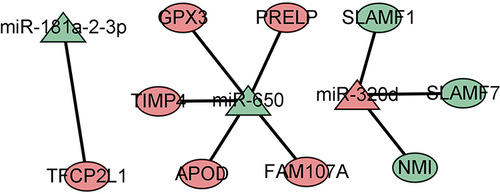 Figure 7 miRNA-mRNA regulatory networks.