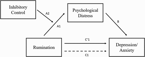 Figure 1. Moderated mediation model of depression-anxiety.