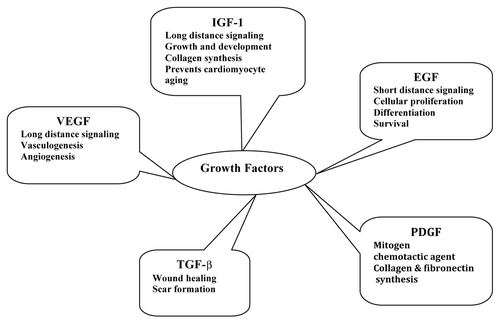 Figure 2. Nature and role of various growth factors in regenerative therapy.