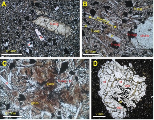 Figure 5. Thin section images. A. The basanites contain fine-grained plagioclase with phenocrysts of olivine (ol) and titan-augite (Ti-aug). B. Some samples display a pilotaxic alignment of plagioclase (pl) grains set in glass, titano-magnetite (mag), titan-augite and olivine. C. A brown glass occurs between plagioclase laths. A–C are Upper Clutha sample 8C. D. Peridotite xenolith in very fine-grained basanite (Galloway 10J). The peridotite contains spinel (sp)-orthopyroxene (opx) vermicular intergrowths.