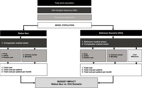 Figure 1 Budget Impact Model Conceptual Model.