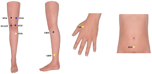 Figure 3 Locations of acupuncture points used in group H and group L. Blue circles: Obligatory acupuncture points. Yellow circles: Customized acupuncture points.