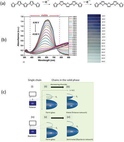 Figure 2. (a) The oxidation of an oligothiophene that forms a polaron (center) and a bipolaron (right). Reproduced from [Citation17] with permission of The Royal Society of Chemistry. (b) UV-Vis spectra (left) and the respective color change (right) in PEDOT, where the doping levels are electrochemically tuned. Reproduced from [Citation18] with permission of The Royal Society of Chemistry. (c) The dependence of the density of states of the conducting polymers to the order of the system. As disorder decreases, the system changes from a fermi glass to a metal (for a network of polarons i.e. Polyaniline) or from a fermi glass to a Semimetal (for a bipolaron network). Reprinted by permission from Springer: Nature Materials, [Citation21], Copyright 2014.