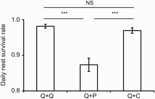 Figure 1. Daily nest survival rates ± se of artificial ground nests with different egg combinations. *** Significant differences at P < 0.001. Q: quail egg; P: plasticine egg; C: coated plasticine egg.