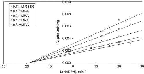 Figure 5.  Inhibition kinetics of bovine liver glutathione reductase (GR). Lineweaver–Burk double reciprocal plot of initial velocity against NADPH as varied substrate and rosmarinic acid (RA) (0.1–0.6 mM) as inhibitor at different fixed oxidized glutathione (GSSG) (0.7 mM) concentrations.