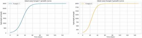 Figure 9. Fungi 1 and Fungi 2 growth curves with limited resources under ideal conditions.