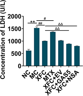 Figure 5 Effect of XFC on LDH release from myocardial tissues in AA rats.