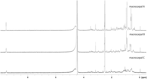 Figure 3. 1H-NMR spectrum (500 MHz, 37 °C) of macrocarpals A–C in buffered DMSO solution.