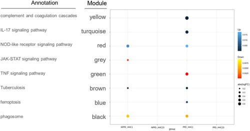 Figure 4. Modular transcriptional signatures of HHC-23 compared to HHC-1 group. Fold enrichment scores derived using QuSAGE are depicted, with red and blue indicating modules over- or under-expressed. Colour intensity and size represent the degree of enrichment.