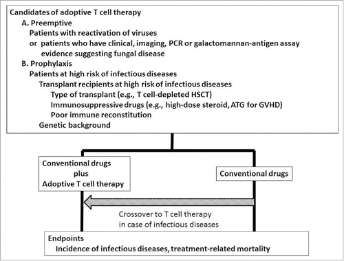 Figure 2. Possible clinical trial design incorporating adoptive T cell therapy as preemptive therapy or prophylaxis of infectious diseases at high risk of them